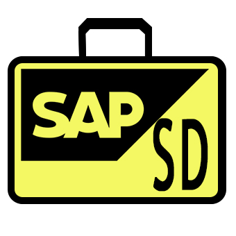 corso sap sd