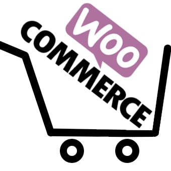 Corso WooCommerce. per Web Designer